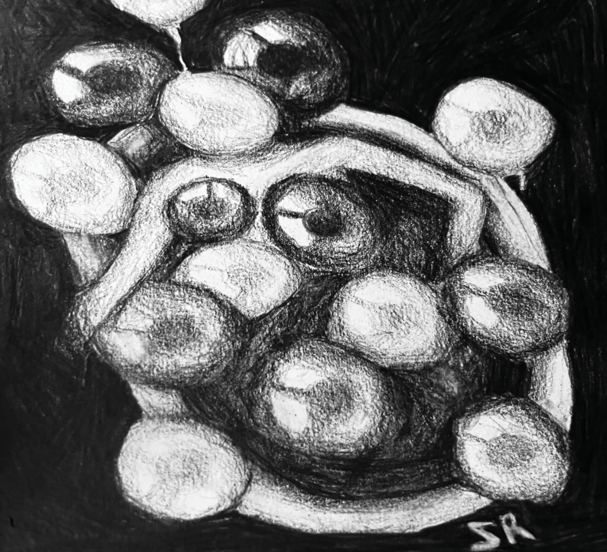 Drawing by Sydney Ruiz