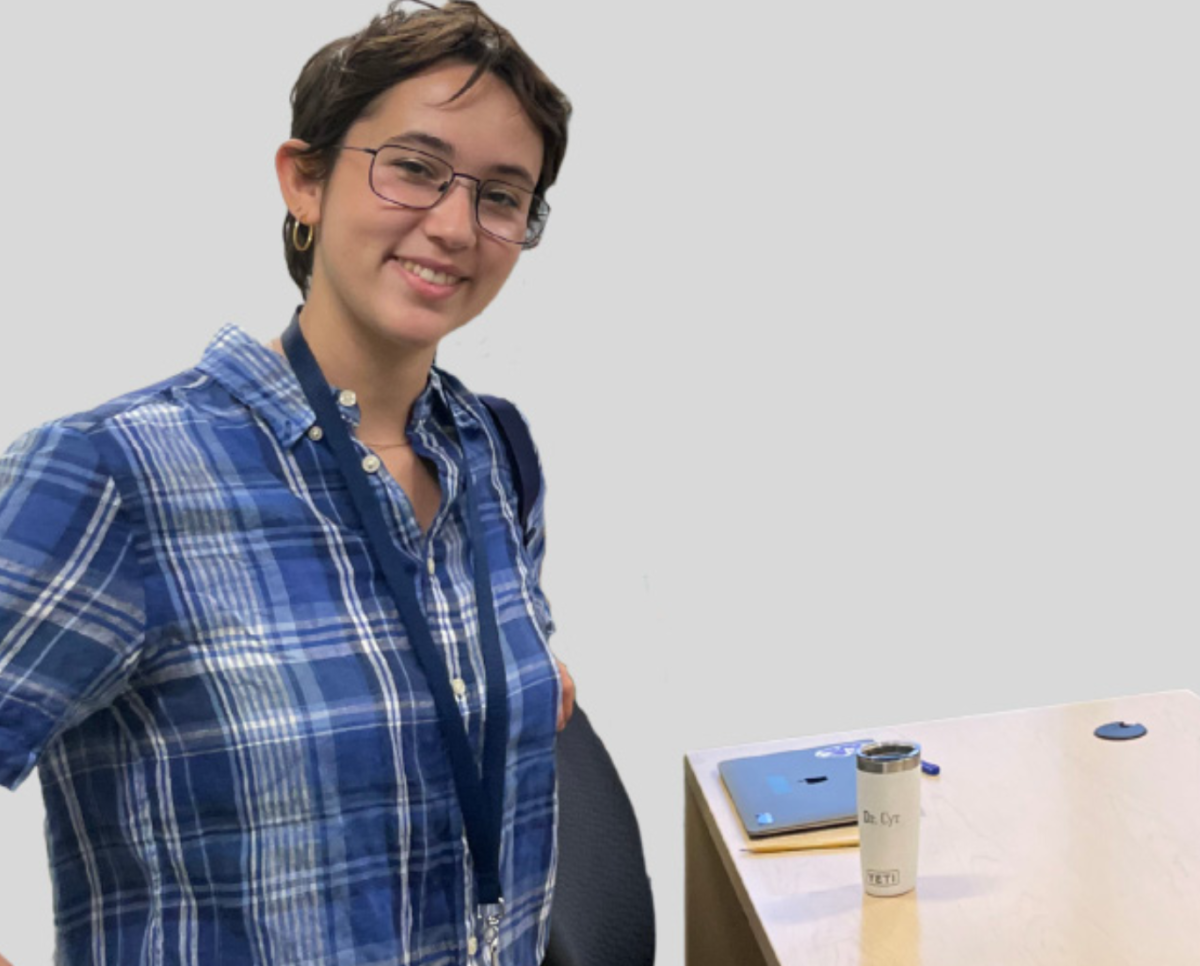 US Math Penn Fellow Virginia Heinsen leads a sample lesson during the faculty hiring process. (Staff Photo by Katy Varadi)
