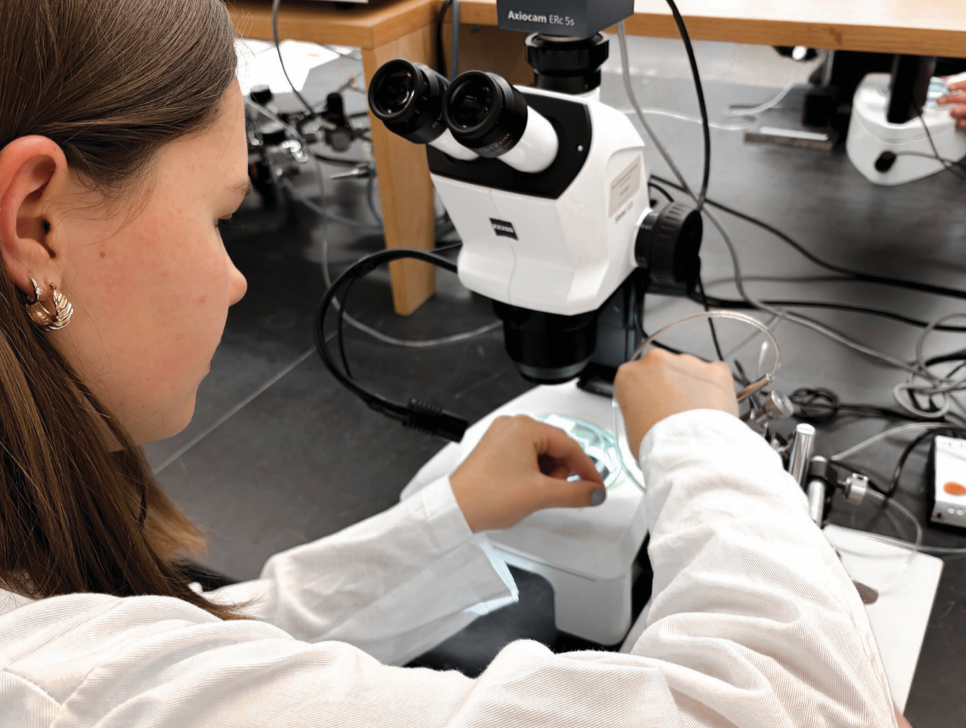 Sylvie Welu ’26 works in the Marine Biological Laboratory in Woods Hole. (Photo Courtesy of Sylvie Welu)